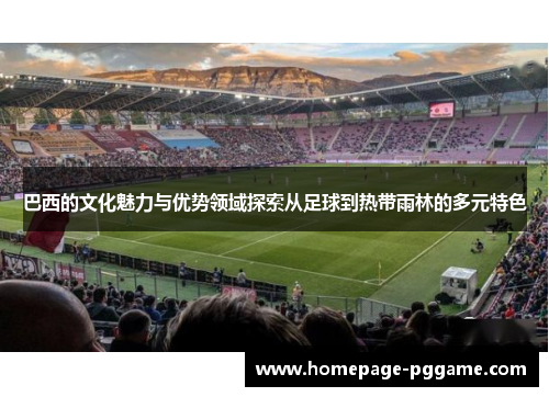 巴西的文化魅力与优势领域探索从足球到热带雨林的多元特色
