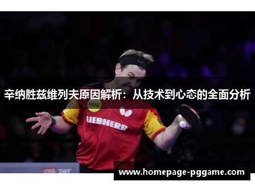 辛纳胜兹维列夫原因解析:从技术到心态的全面分析 辛纳胜兹维列夫原因解析:从技术到心态的全面分析