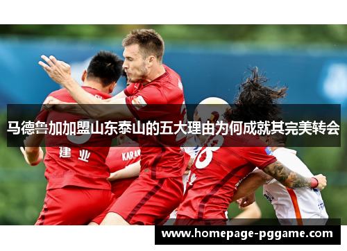 马德鲁加加盟山东泰山的五大理由为何成就其完美转会 马德鲁加加盟山东泰山的五大理由为何成就其完美转会