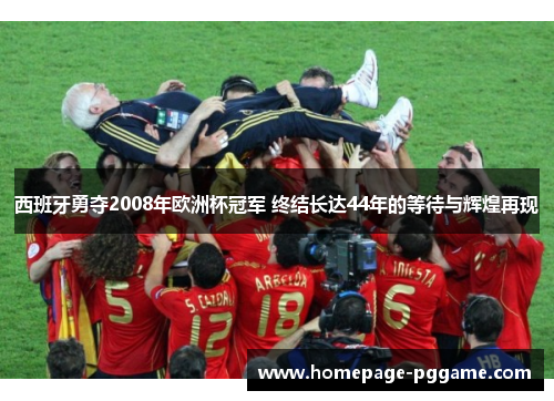 西班牙勇夺2008年欧洲杯冠军 终结长达44年的等待与辉煌再现